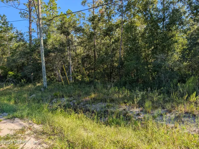 a view of a green field