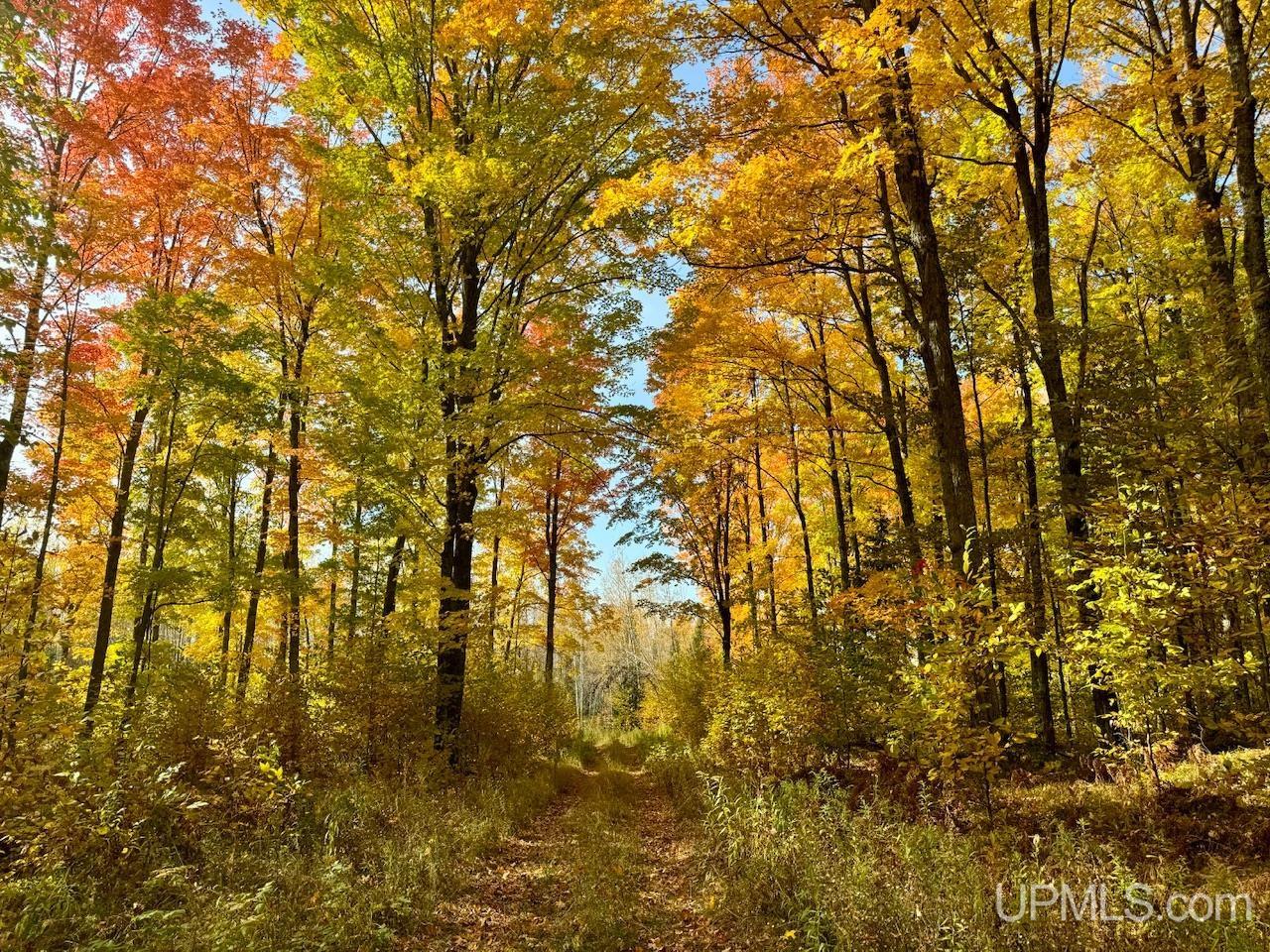 80 Rd Vulcan Mi 49892 Road Vulcan, MI 49892 - Photo 5 of 49 Gallery Image 5