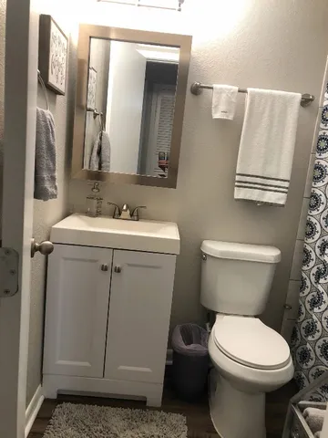 a bathroom with a toilet sink and mirror