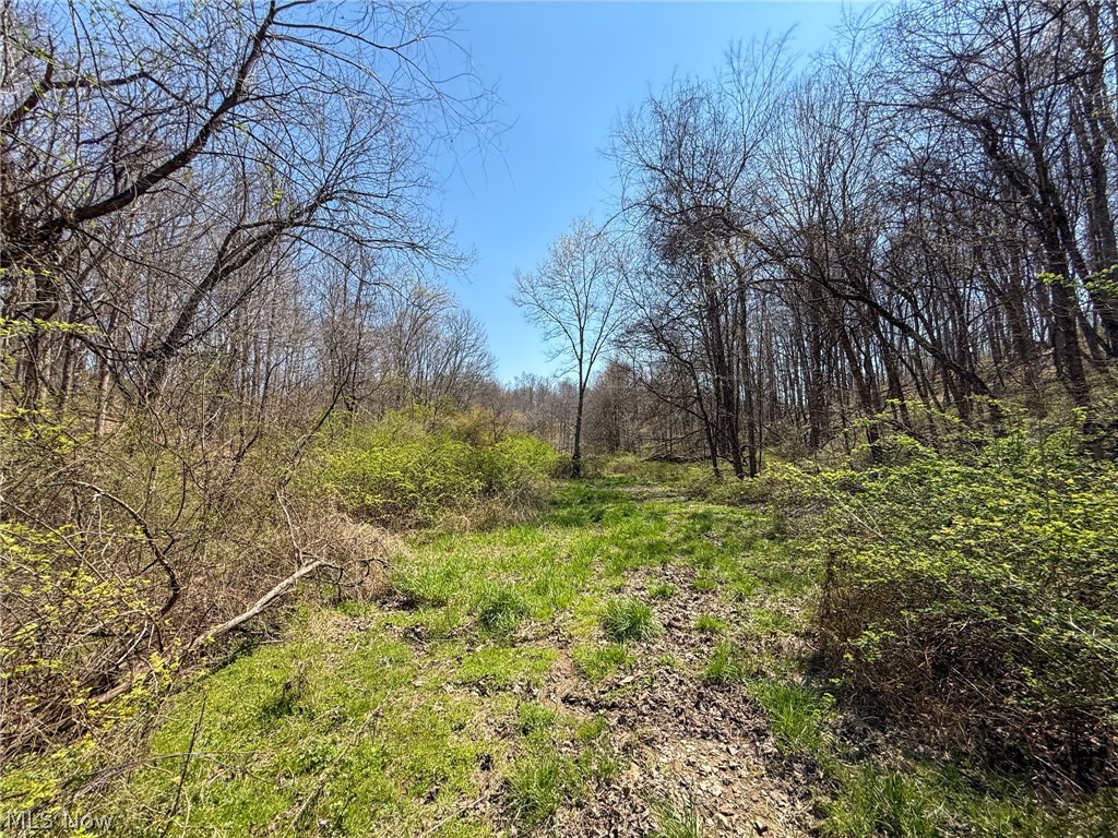 Claysville Road Cumberland, OH 43732 - Photo 7 of 47
