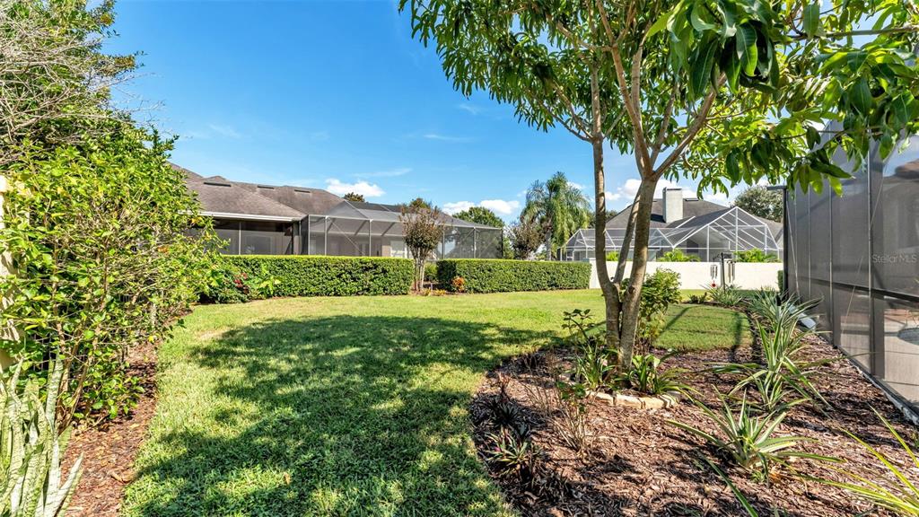 237 McLean Point Winter Haven, FL 33884 - Photo 8 of 85 a view of backyard of house with green space