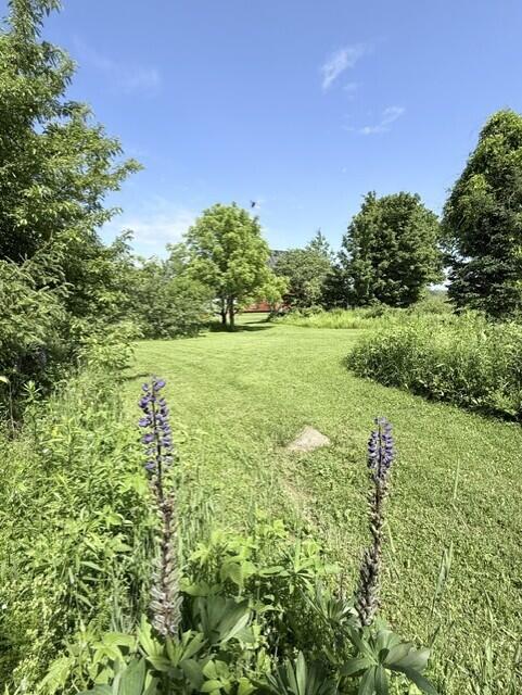 1175 Houlton Road Westfield, ME 04787 - Photo 81 of 84 761e5937-82ce-457b-b453-b2c65d82827e