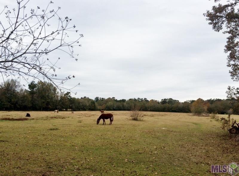 Tbd Tbd Lavigne Road Albany, LA 70711 - Photo 1 of 1 Gallery Image 1