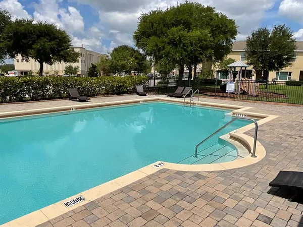 a view of a swimming pool with a lawn chairs and plants