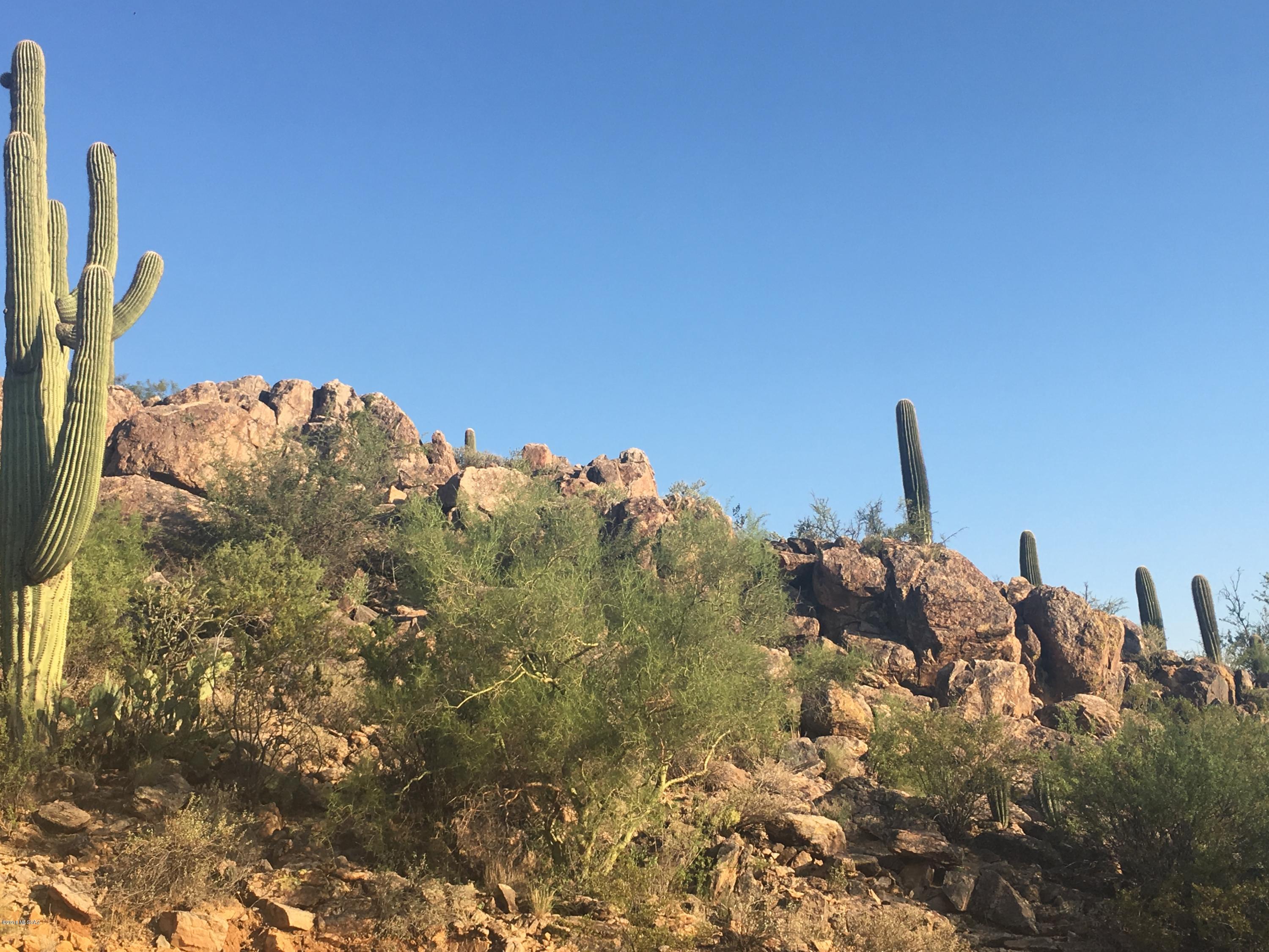6590 North Van Ark Road Tucson, AZ 85743 - Photo 41 of 44 Gallery Image 41