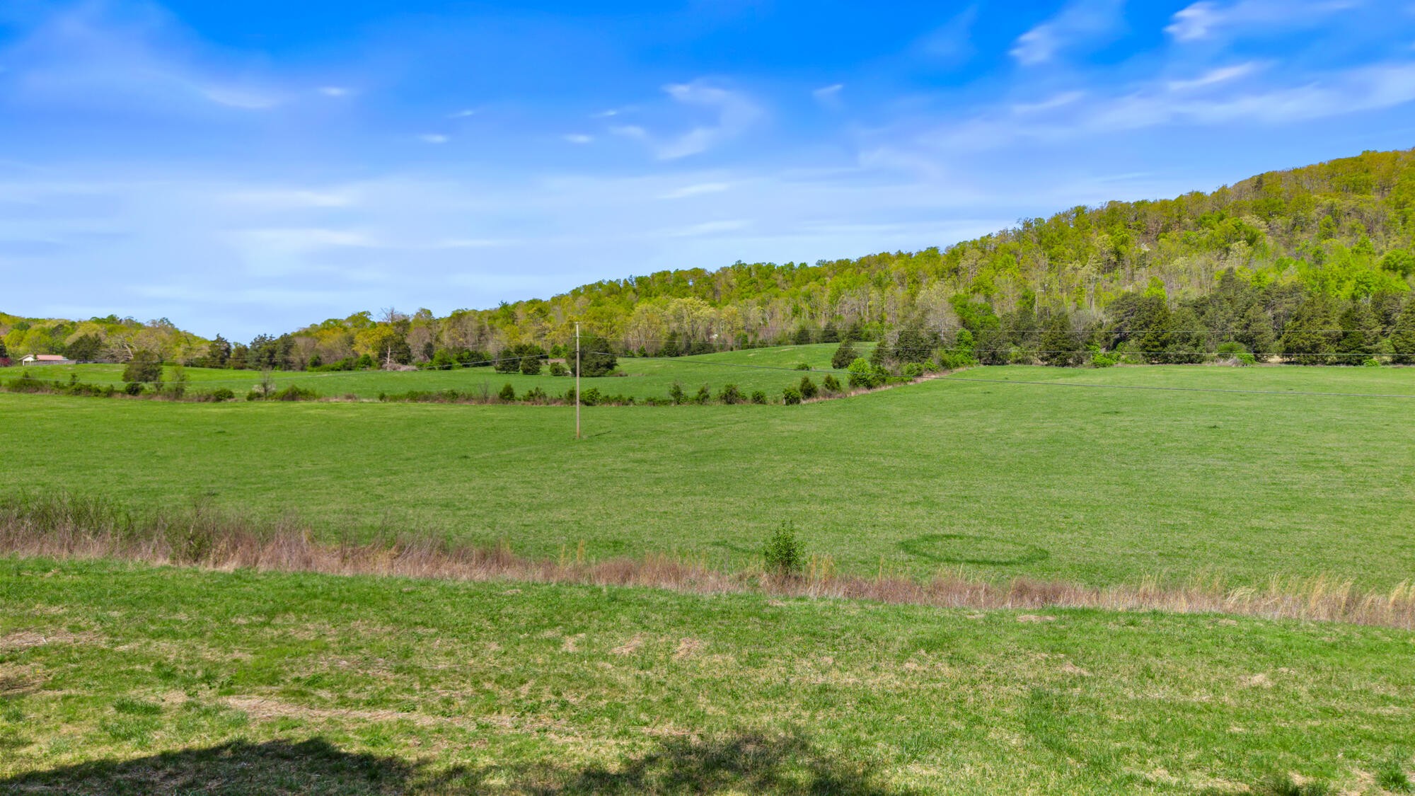 0 Dogtown Road Ten Mile, TN 37880 - Photo 1 of 9