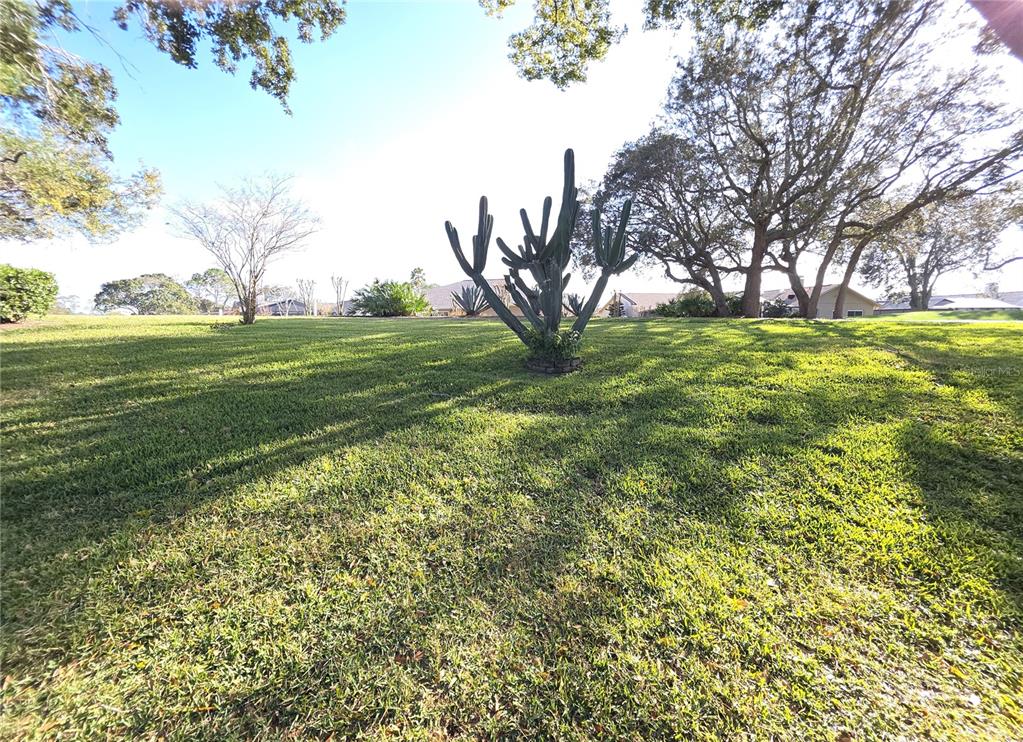 7160 Green Abbey Way Spring Hill, FL 34606 - Photo 27 of 40