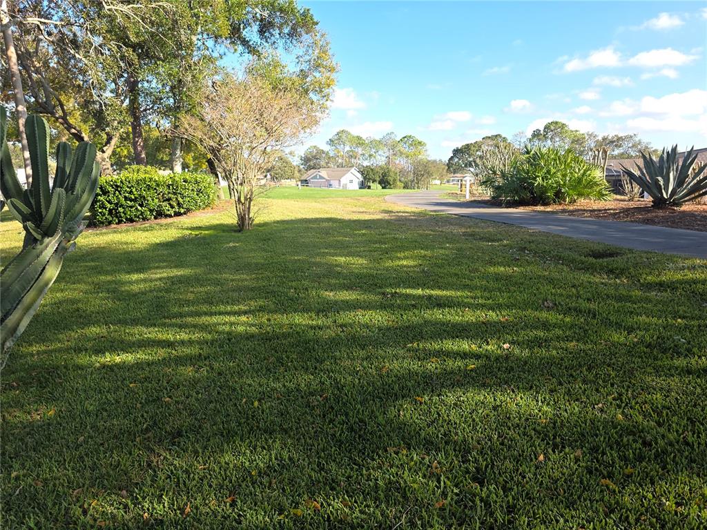 7160 Green Abbey Way Spring Hill, FL 34606 - Photo 29 of 40