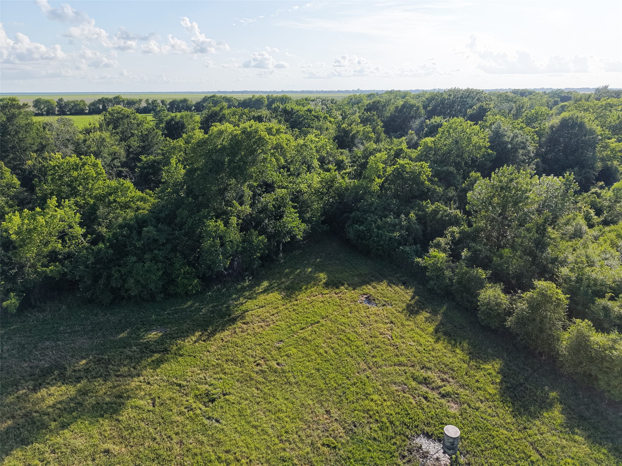 2240 Meyer Road Beasley, TX 77417 - Photo 27 of 29 Welcome, deer hunters!