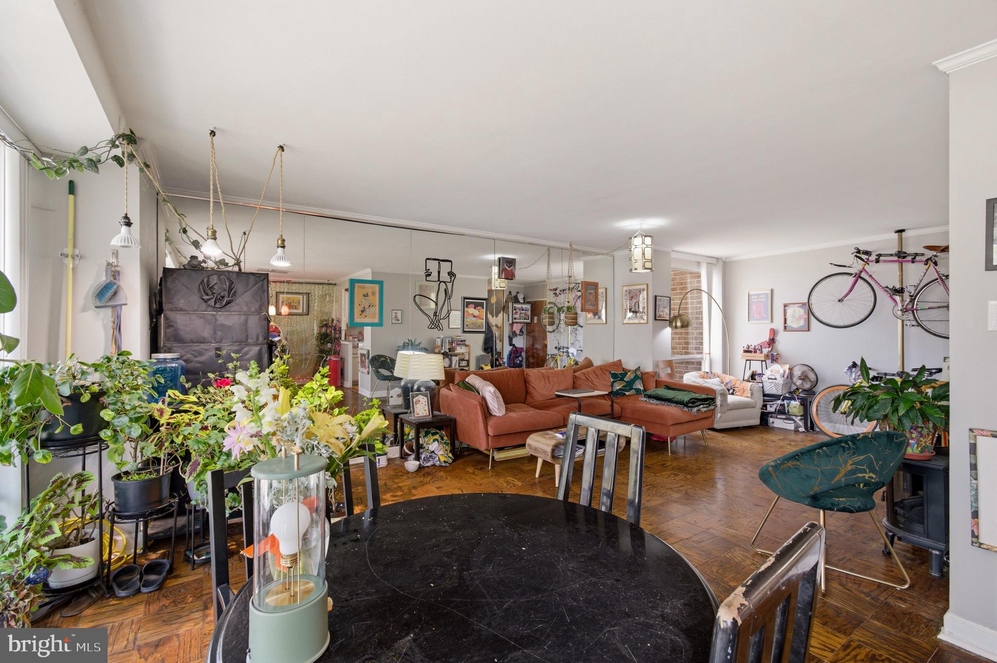 400 O Street Southwest, Unit 402 Washington, DC 20024 - Photo 11 of 34 a living room with lots of potted plants and a fireplace