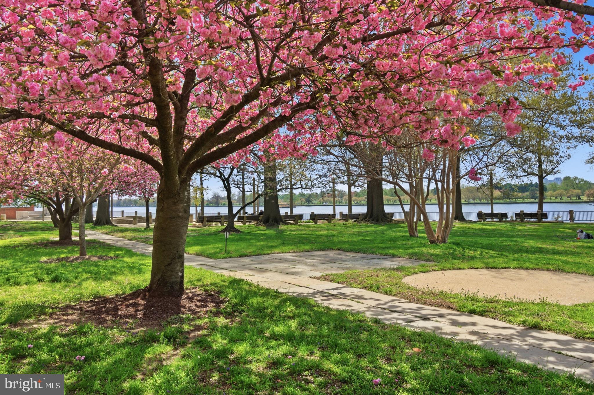 400 O Street Southwest, Unit 402 Washington, DC 20024 - Photo 29 of 34 a view of a house with a backyard