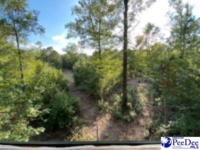 Tbd Marys Shortcut Road Coward, SC 29530 - Photo 1 of 1 Gallery Image 1