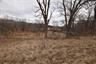1 Brethren Church Road Plattsburg, MO 64477 - Photo 5 of 7