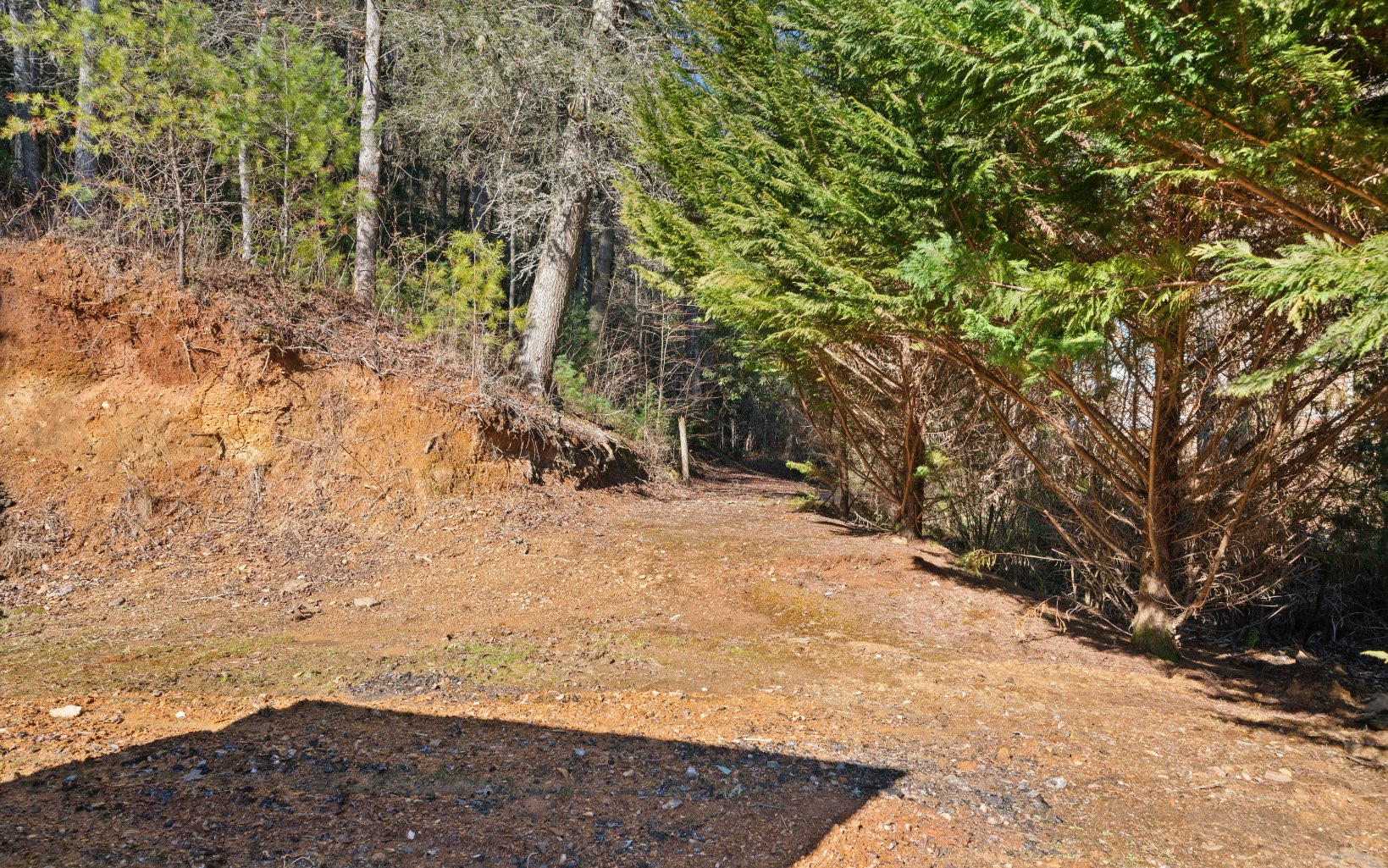 3831 Cutcane Road Mineral Bluff, GA 30559 - Photo 23 of 46 Additional View