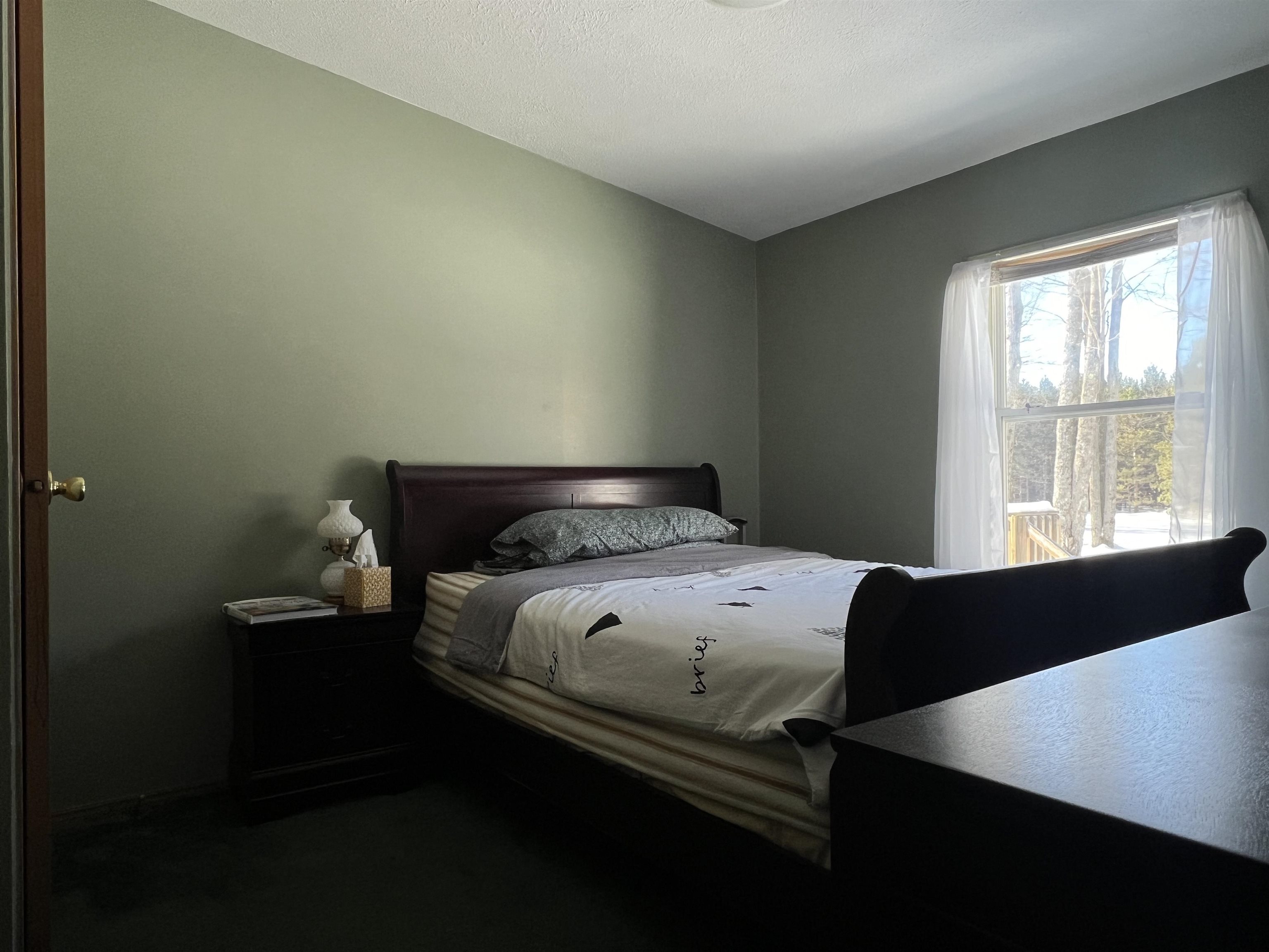 135 Montgomery Road Southwest South Boardman, MI 49680 - Photo 26 of 59