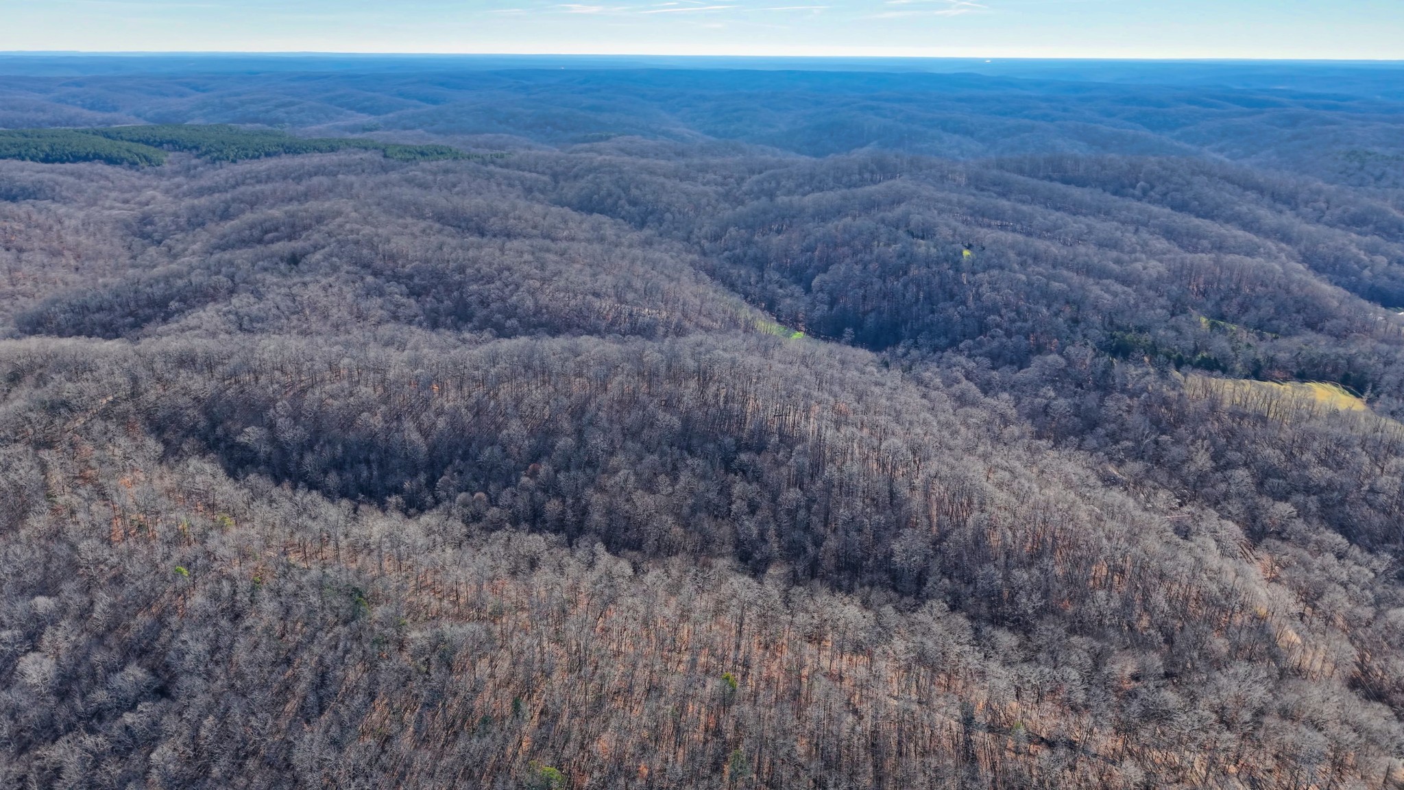 0 Old Swan Road Centerville, TN 37033 - Photo 17 of 24 a view of a dry grass field