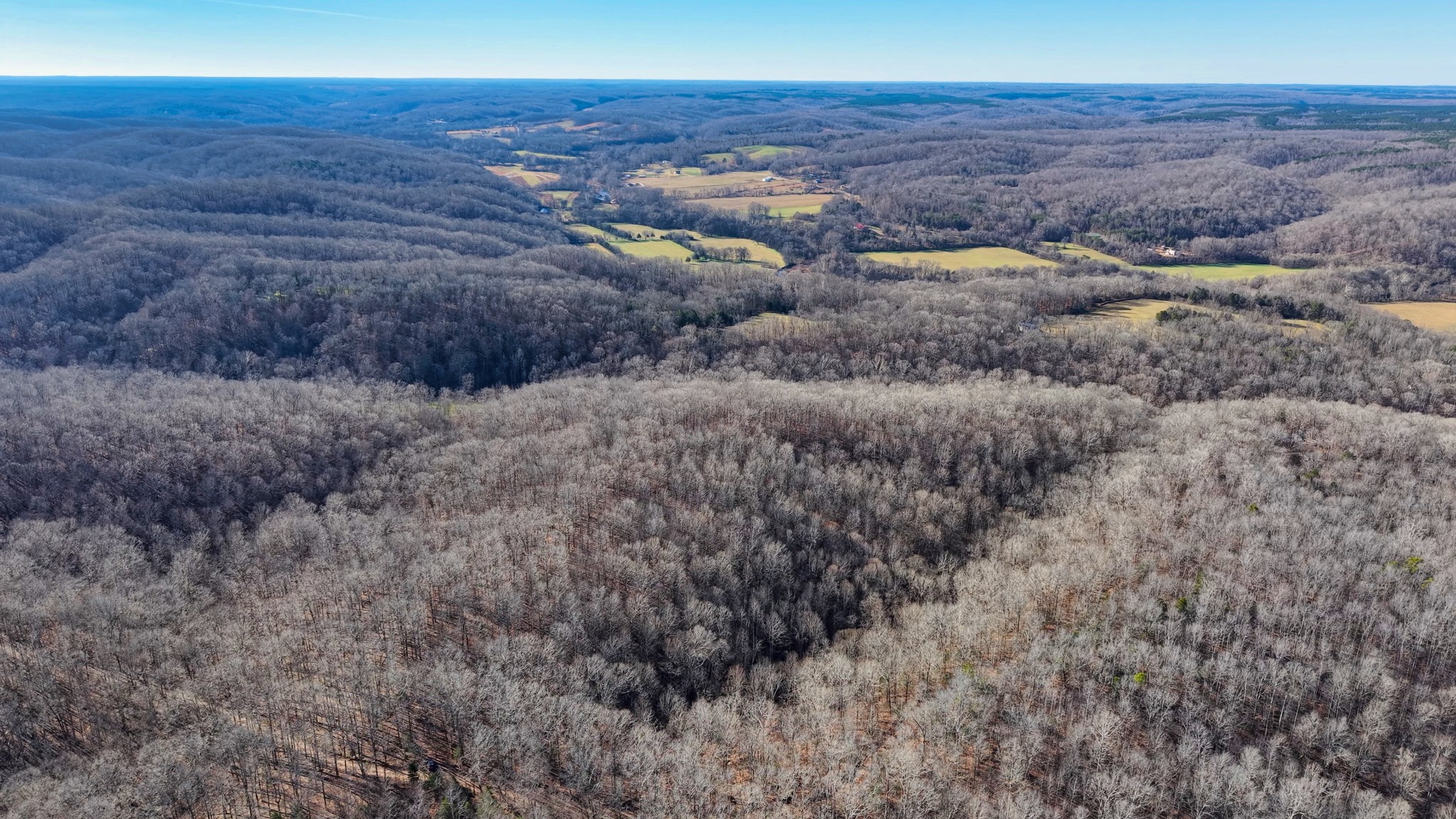 0 Old Swan Road Centerville, TN 37033 - Photo 19 of 24 a view of a dry grass field
