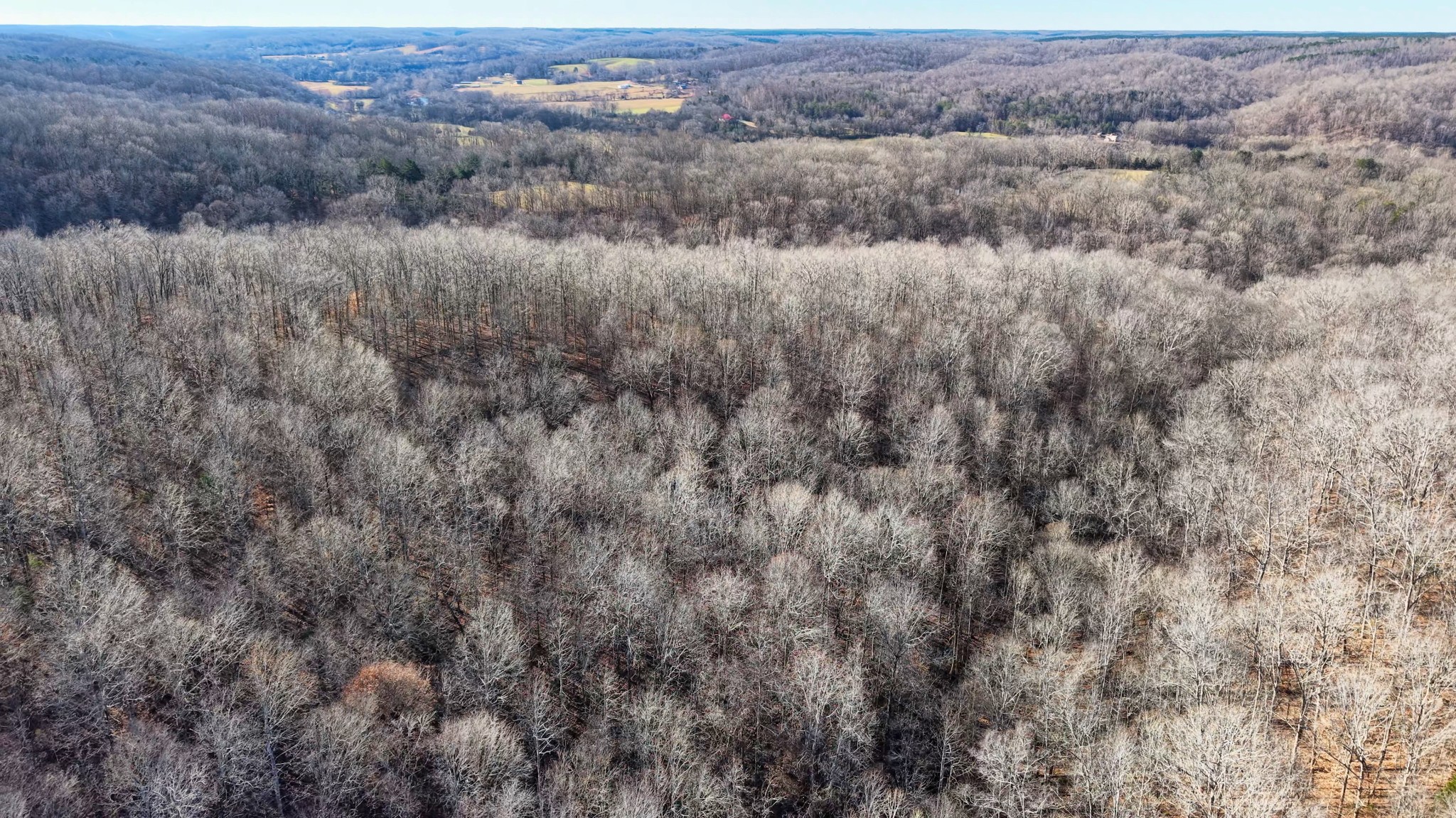 0 Old Swan Road Centerville, TN 37033 - Photo 20 of 24 a view of a dry yard