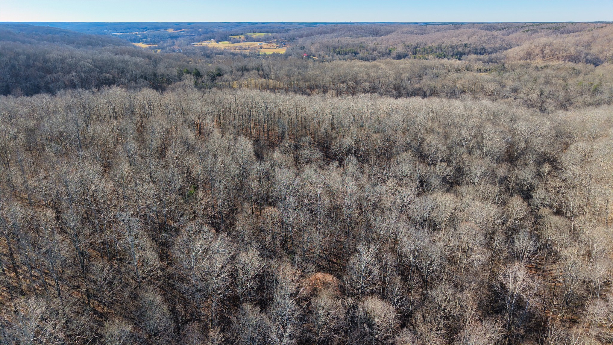 0 Old Swan Road Centerville, TN 37033 - Photo 23 of 24 a view of a dry field