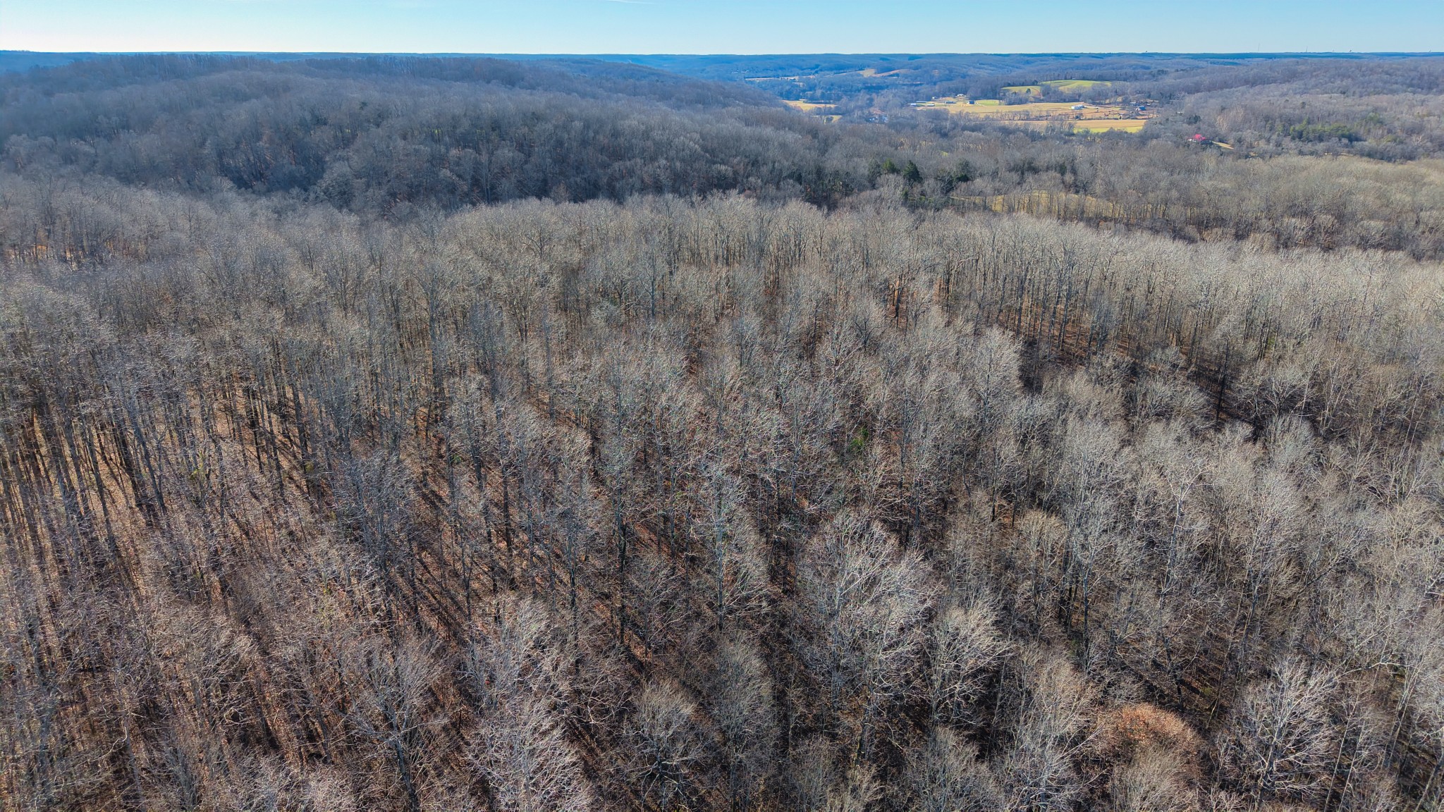 0 Old Swan Road Centerville, TN 37033 - Photo 4 of 24 a view of a dry field