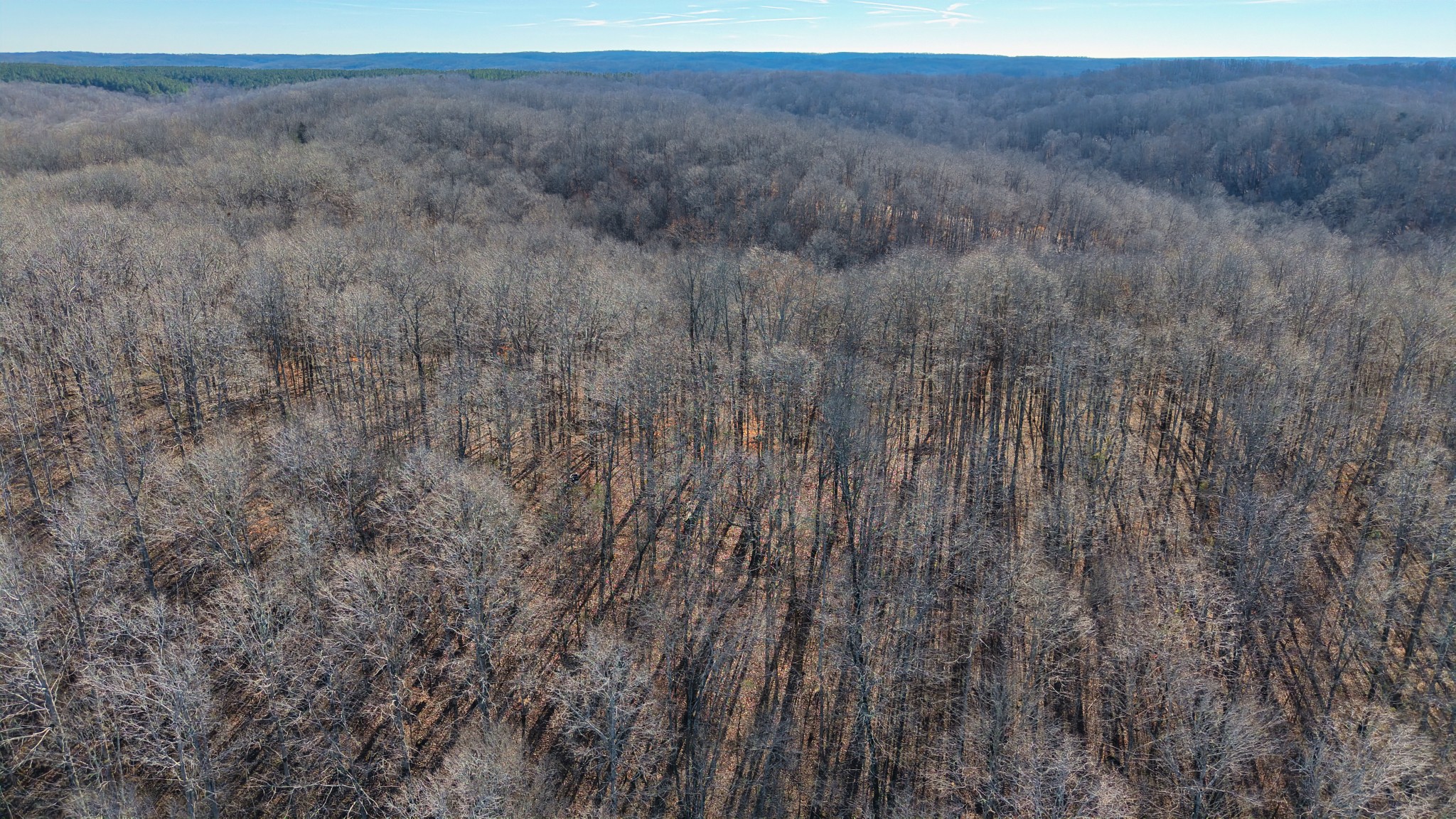 0 Old Swan Road Centerville, TN 37033 - Photo 5 of 24 a view of a dry field