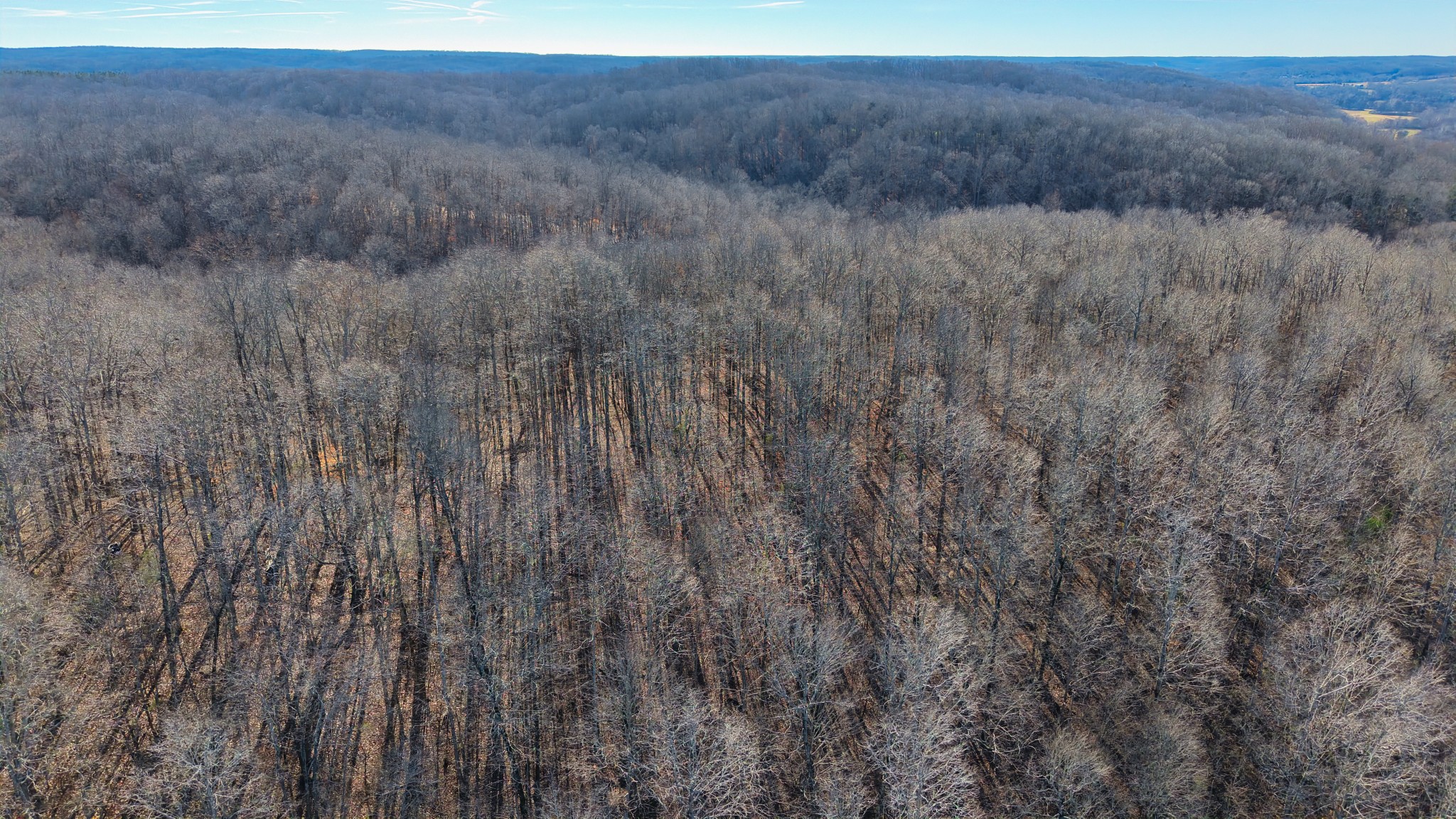 0 Old Swan Road Centerville, TN 37033 - Photo 6 of 24