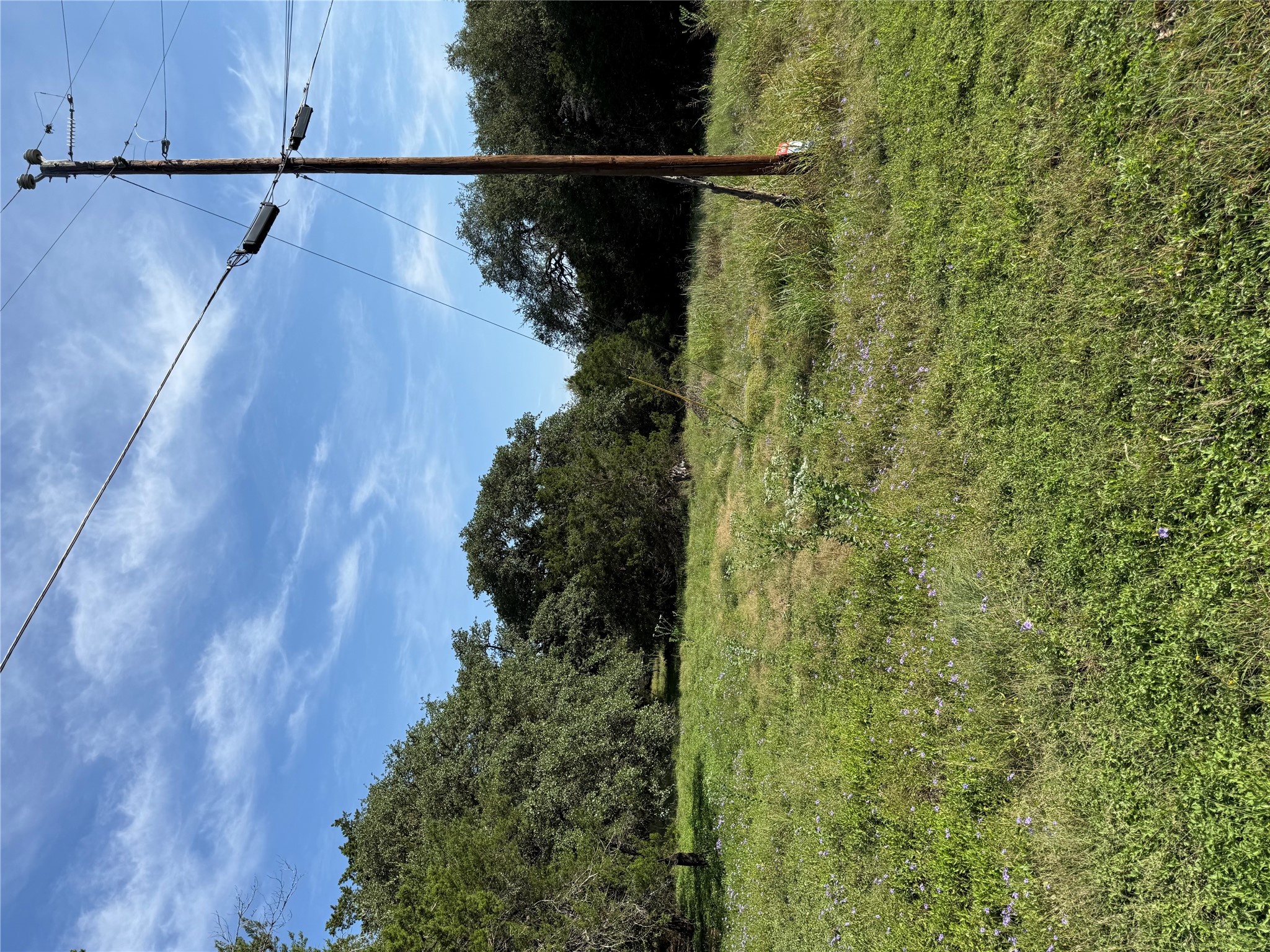 266 Indian Canyon Spring Branch, TX 78070 - Photo 2 of 3 Mature trees frame a grassy clearing under open skies.