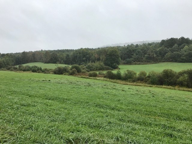 Weathersfield Center Road Springfield, VT 05156 - Photo 3 of 3