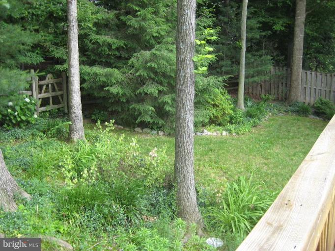 10145 Red Spruce Road Fairfax, VA 22032 - Photo 13 of 13 Back yard