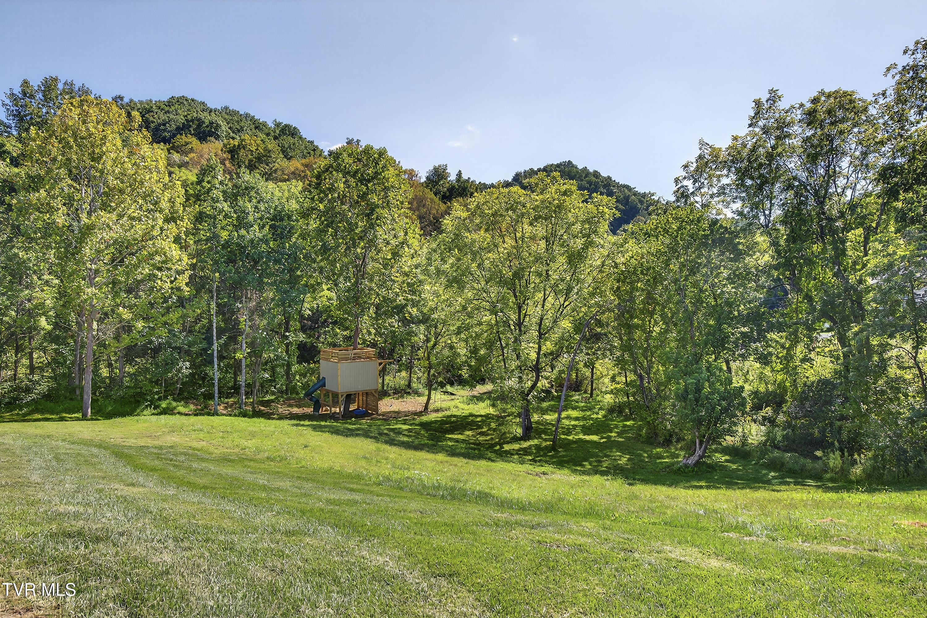 141 Queensgate Bristol, TN 37620 - Photo 46 of 55 141-Queensgate-Bristol-TN Matt-Smith-Rea