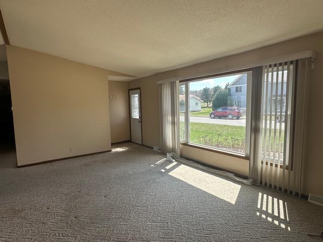 701 3rd Street Barrett, MN 56311 - Photo 4 of 27 Gallery Image 4