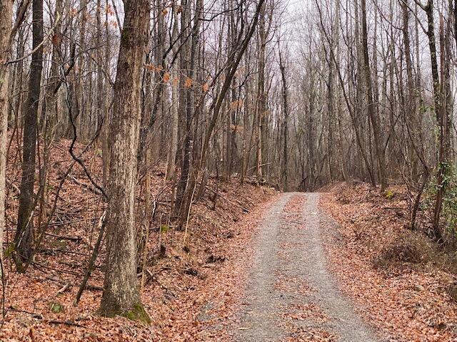 1200 Ditch Gap Road Whitwell, TN 37397 - Photo 28 of 28 Property Driveway