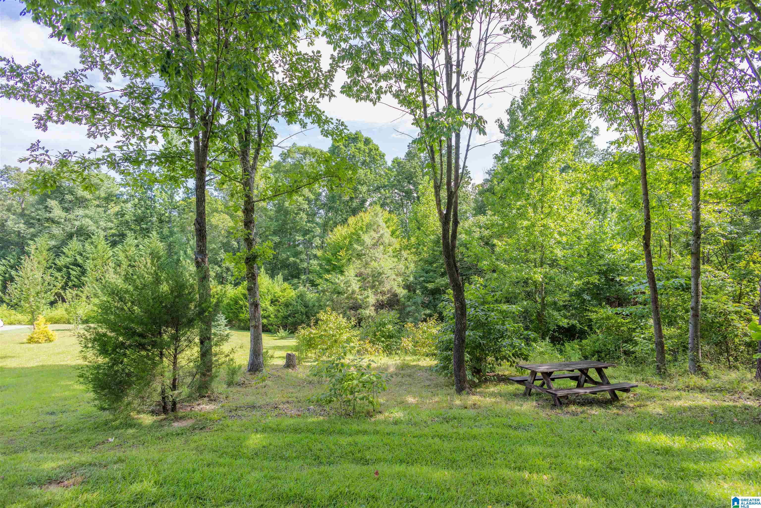640 Beaver Ridge Circle Ashville, AL 35953 - Photo 29 of 45