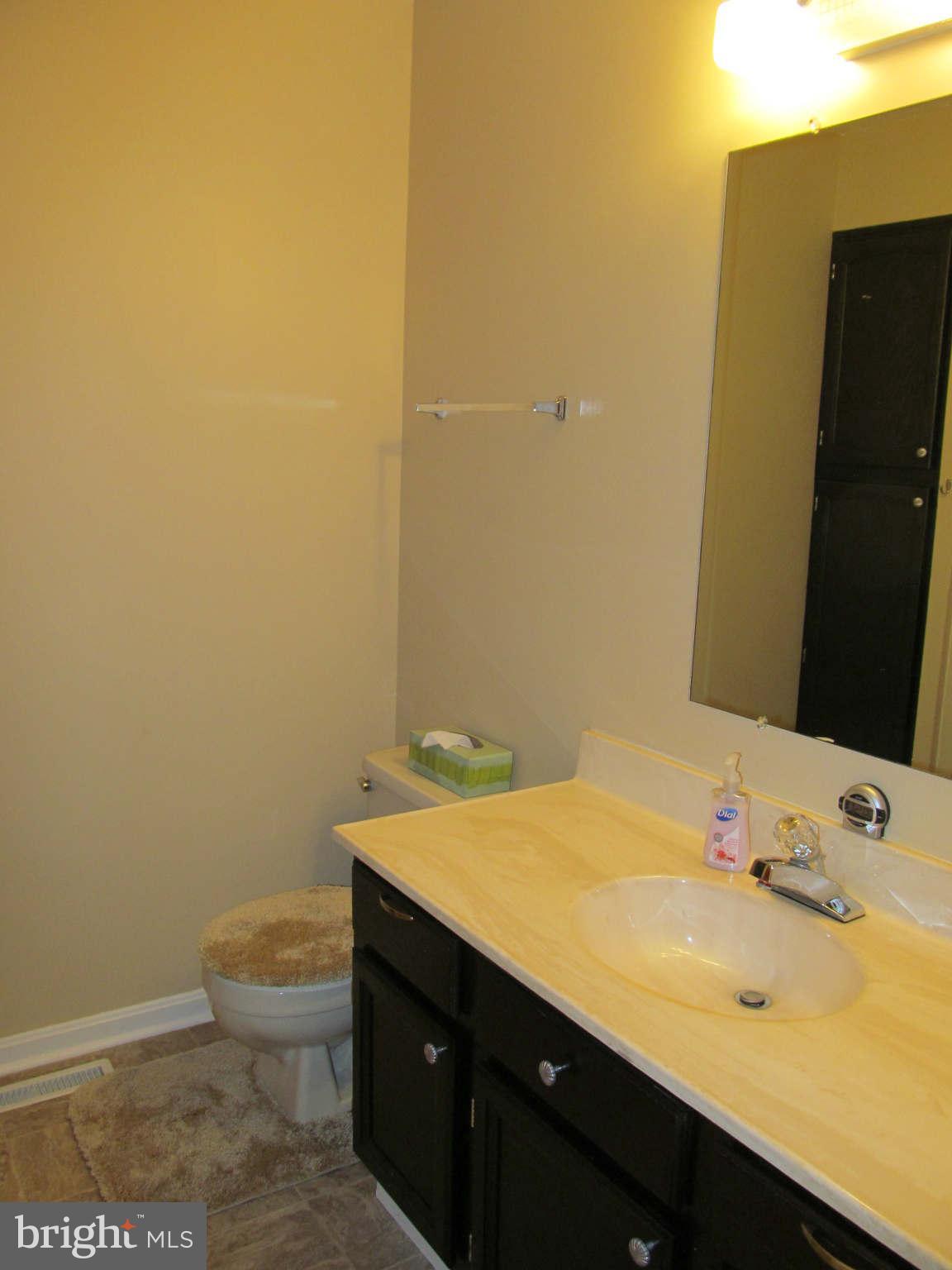 322 Henrico Road Front Royal, VA 22630 - Photo 13 of 20 Bath (Master)
