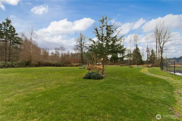 a view of a park with large trees