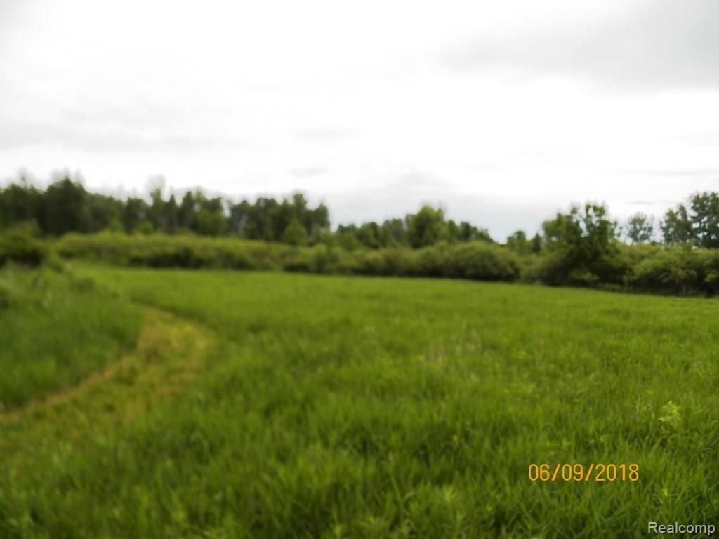 0 Banner Road Sandusky, MI 48471 - Photo 6 of 7
