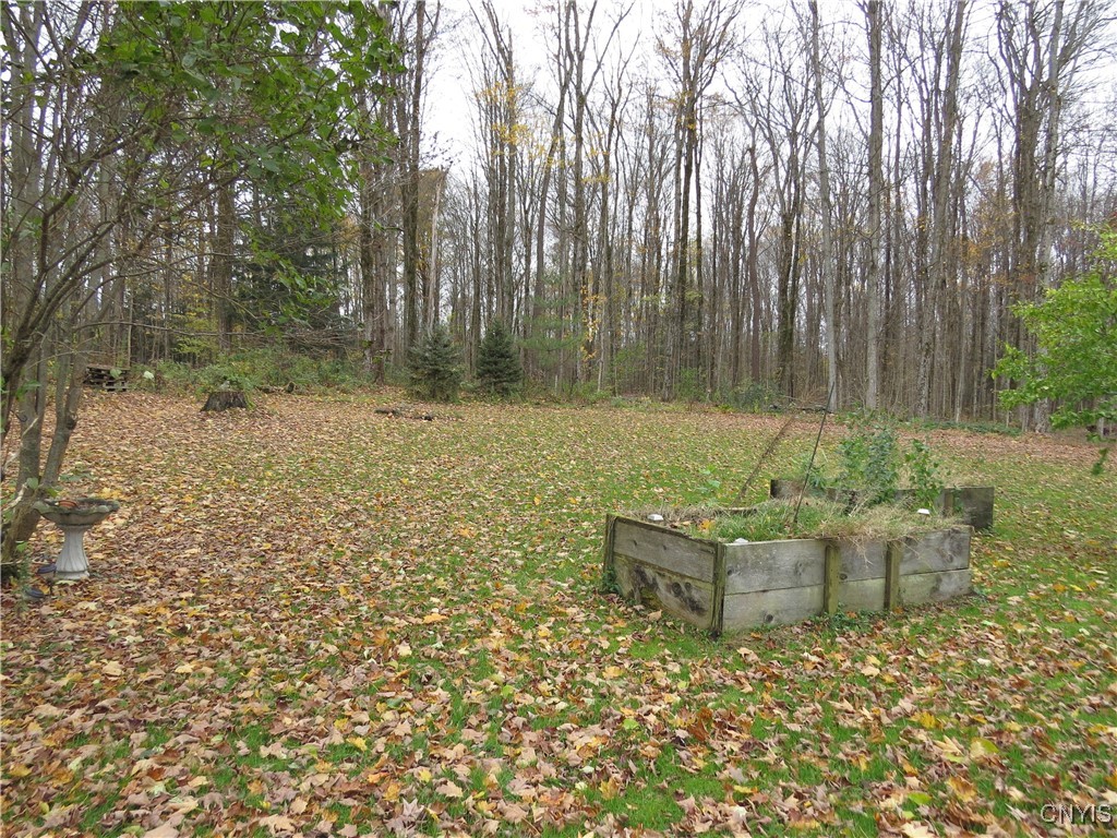 201 Rowe Road Mexico, NY 13114 - Photo 4 of 50