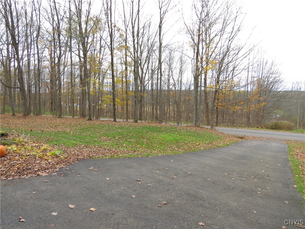 201 Rowe Road Mexico, NY 13114 - Photo 46 of 50