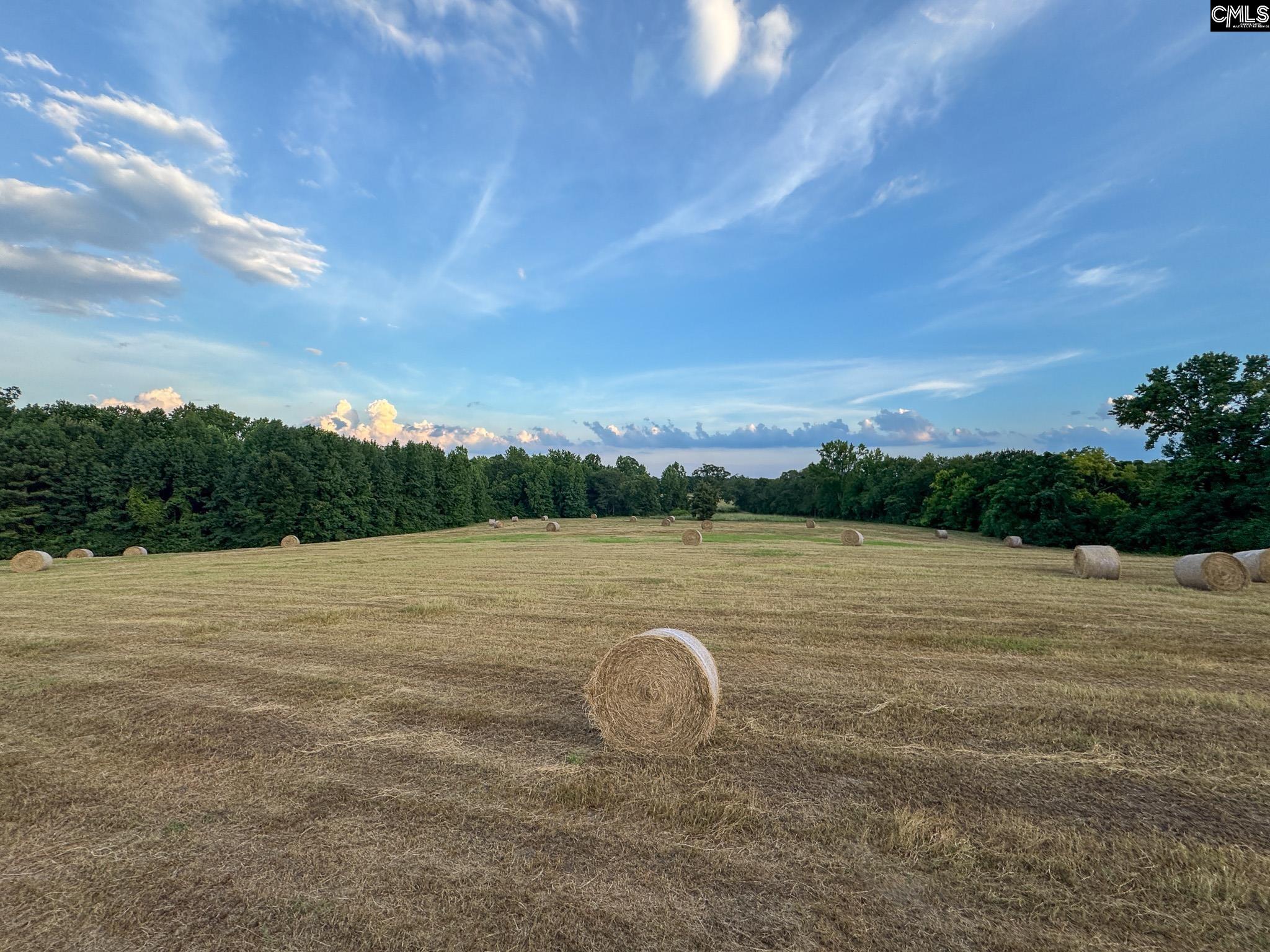 0 Shealy Road, Unit LOT 7 Batesburg, SC 29006 - Photo 14 of 15