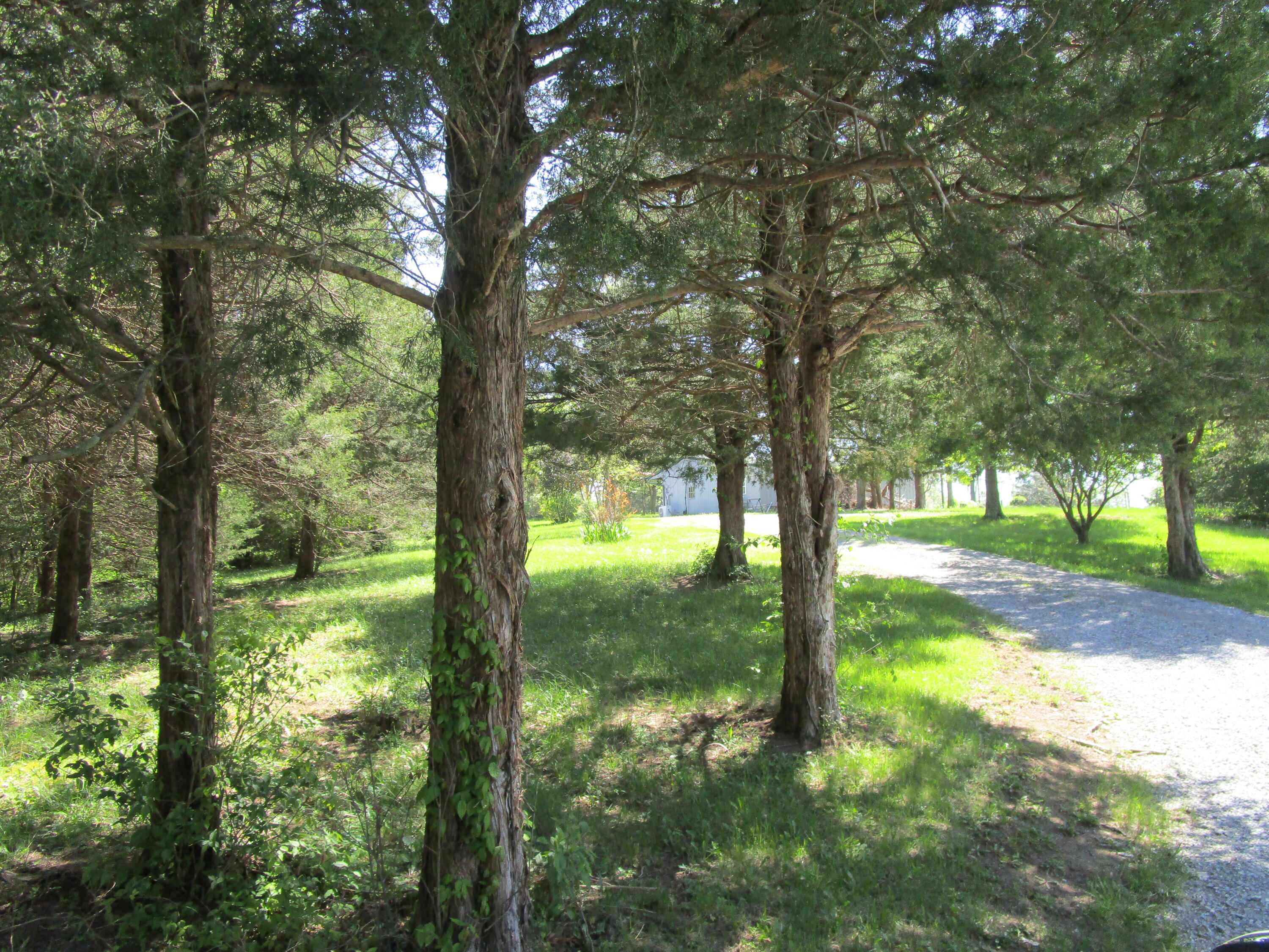 200 Ben Currens Road Salvisa, KY 40372 - Photo 26 of 58 IMG_0911