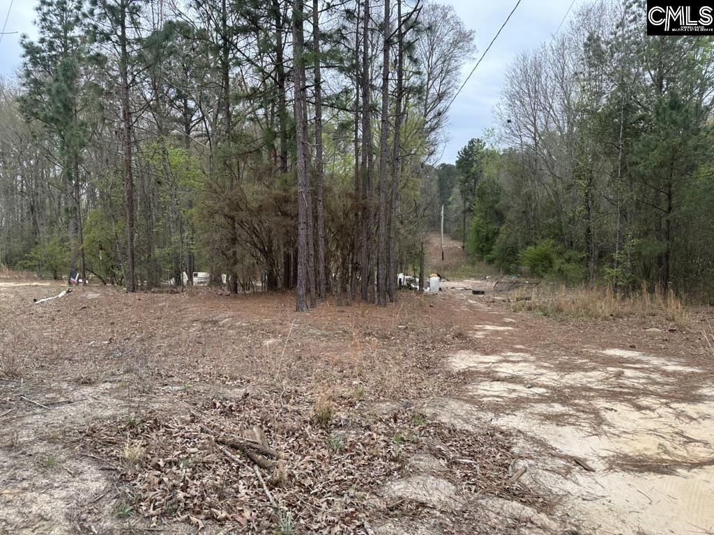 344 Terry Road Pelion, SC 29123 - Photo 3 of 9