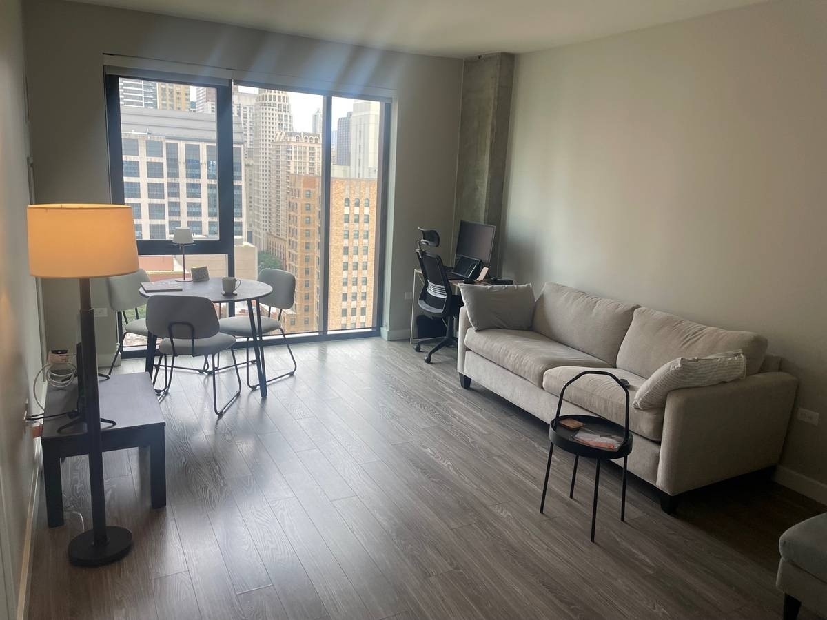 833 North Clark Street, Unit 2002 Chicago, IL 60610 - Photo 3 of 14