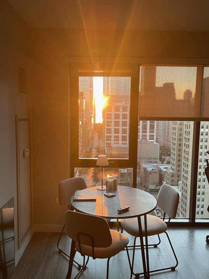 833 North Clark Street, Unit 2002 Chicago, IL 60610 - Photo 5 of 14