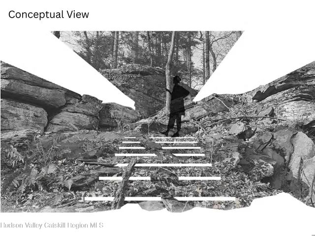 a wooden bench with trees in the background