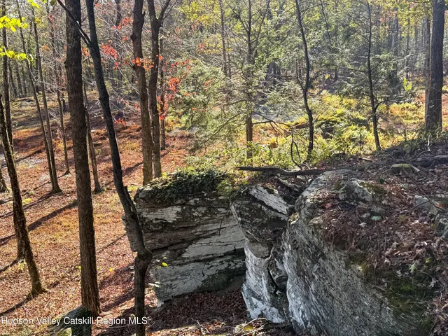 a view of outdoor space with trees