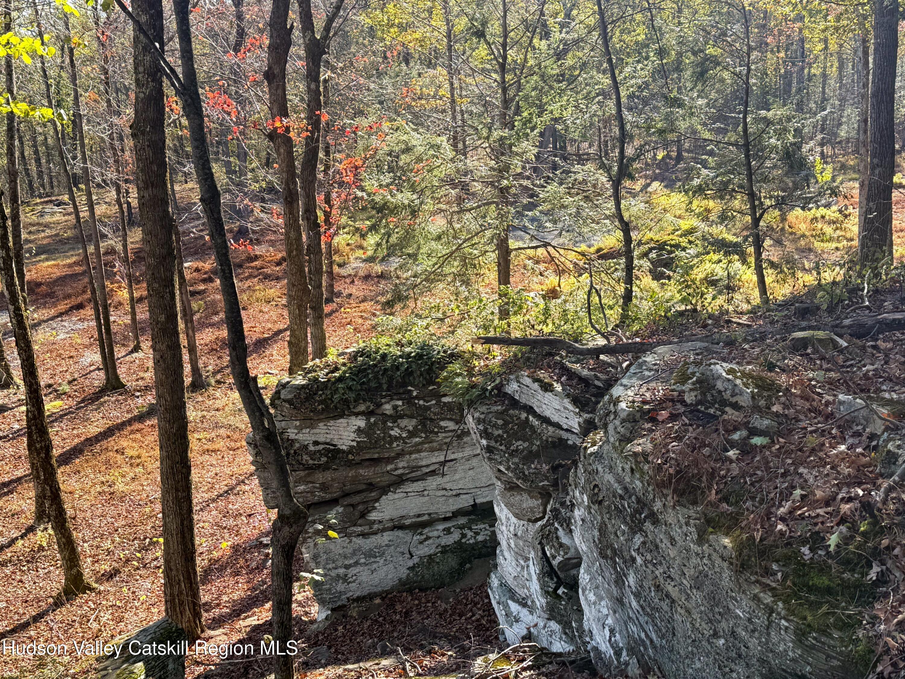 132 Valley View Way Willow, NY 12495 - Photo 14 of 34 a wooden bench with trees in the background