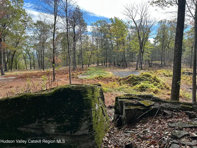 a view of mountain view from a yard