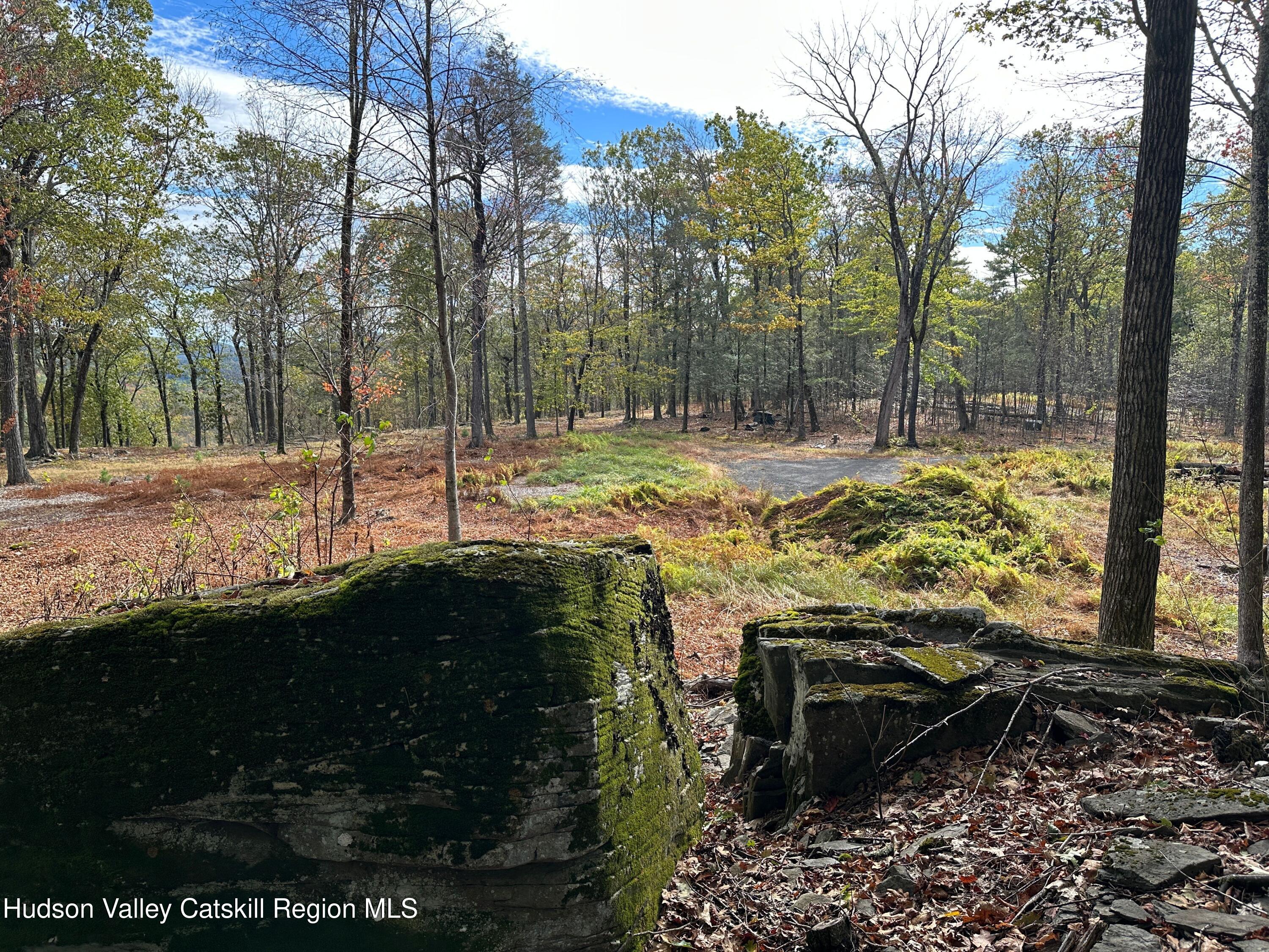 132 Valley View Way Willow, NY 12495 - Photo 15 of 34 a view of a yard with wooden fence