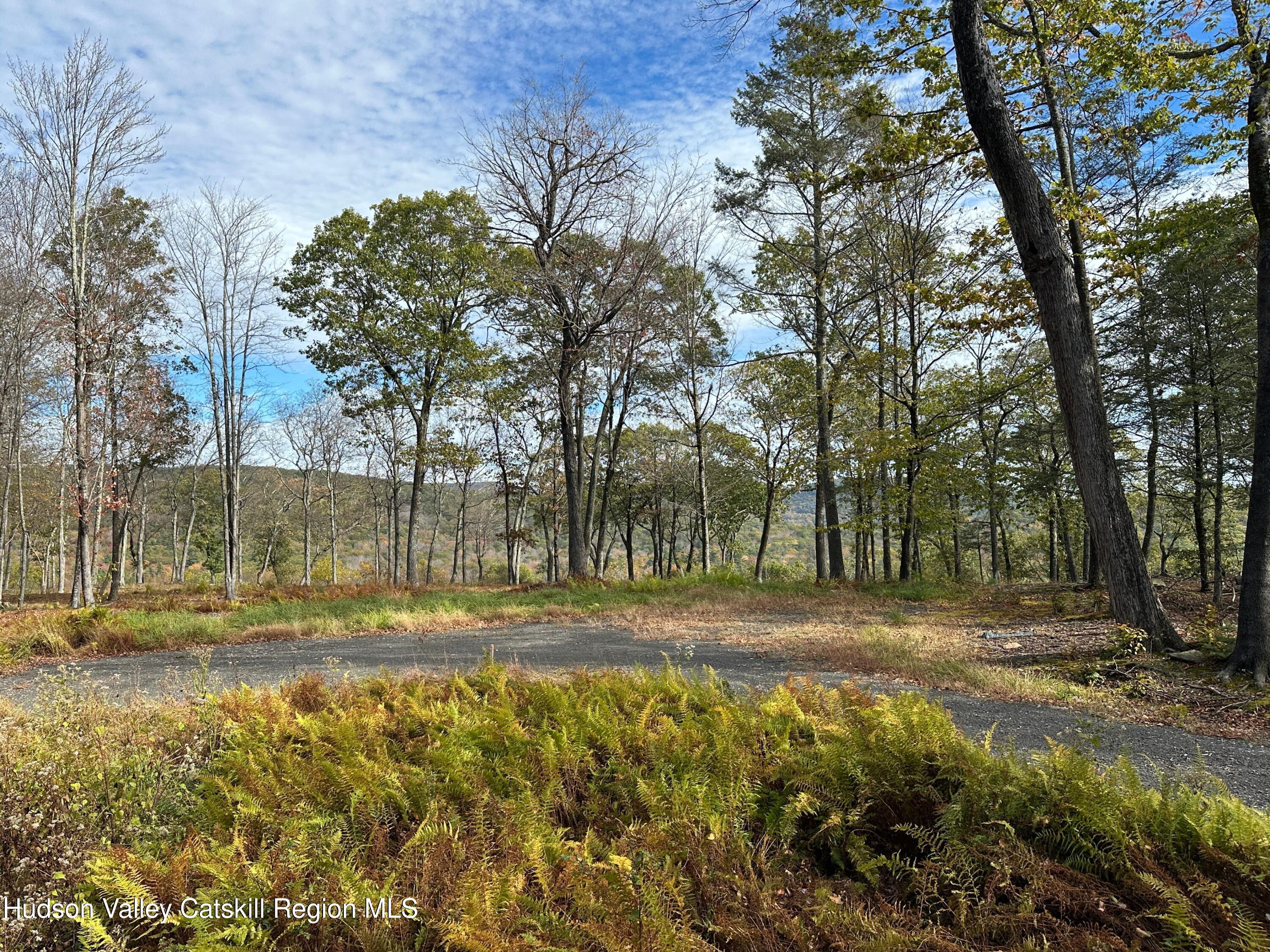 132 Valley View Way Willow, NY 12495 - Photo 16 of 34 a view of outdoor space with trees