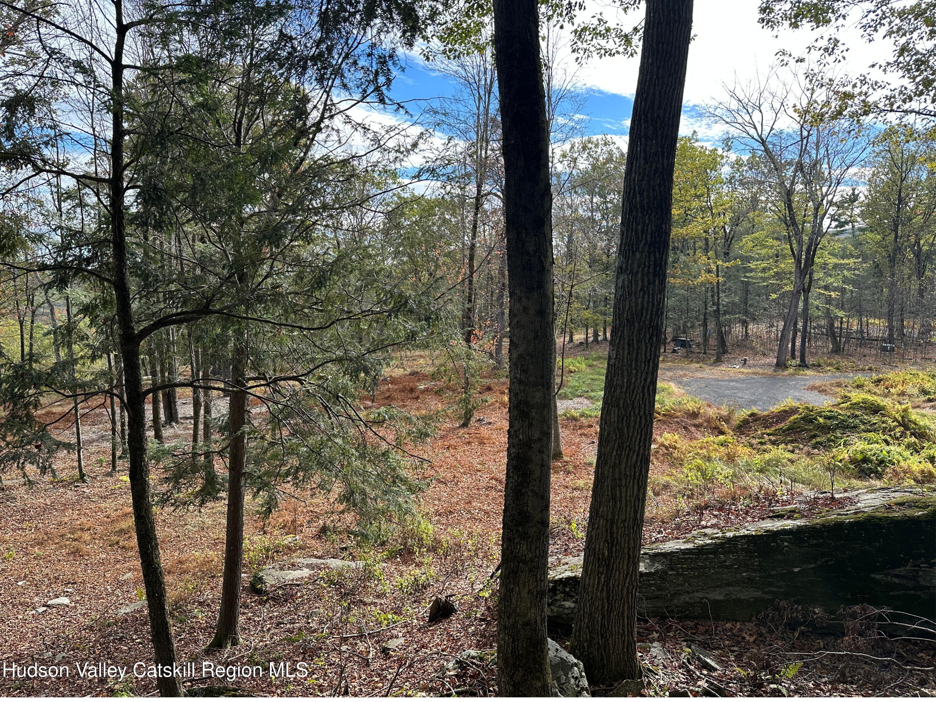132 Valley View Way Willow, NY 12495 - Photo 17 of 34 a view of mountain view from a yard